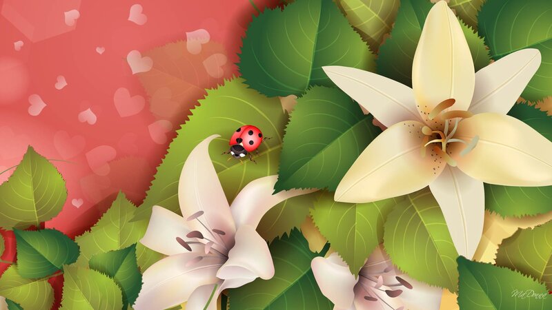 Ladybug on Lilies
