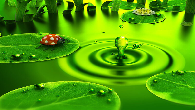 ladybug on lily pad