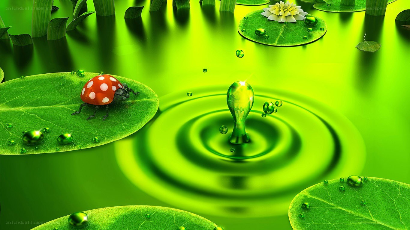 ladybug on lily pad