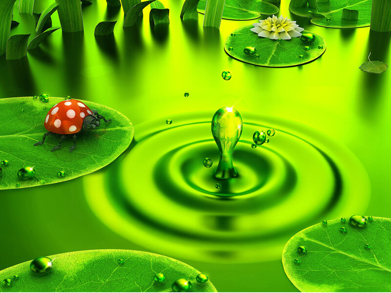 Ladybug on Lily Pad — Green, Serene, Digital Art