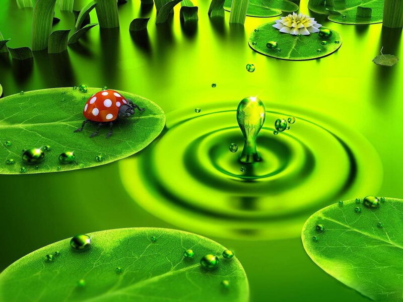 Ladybug on Lily Pad — Green, Serene