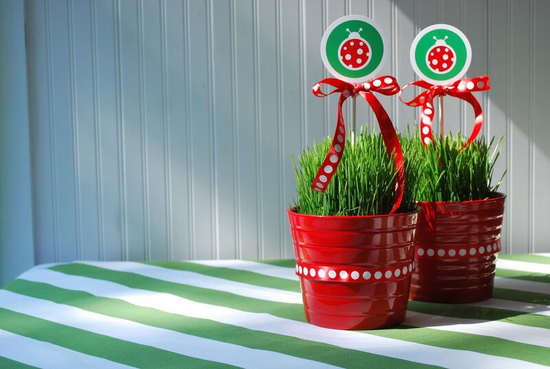 Ladybug-themed Grass Pots