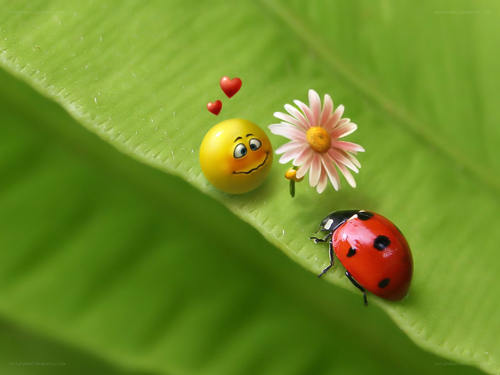 Ladybug with flower and emoji