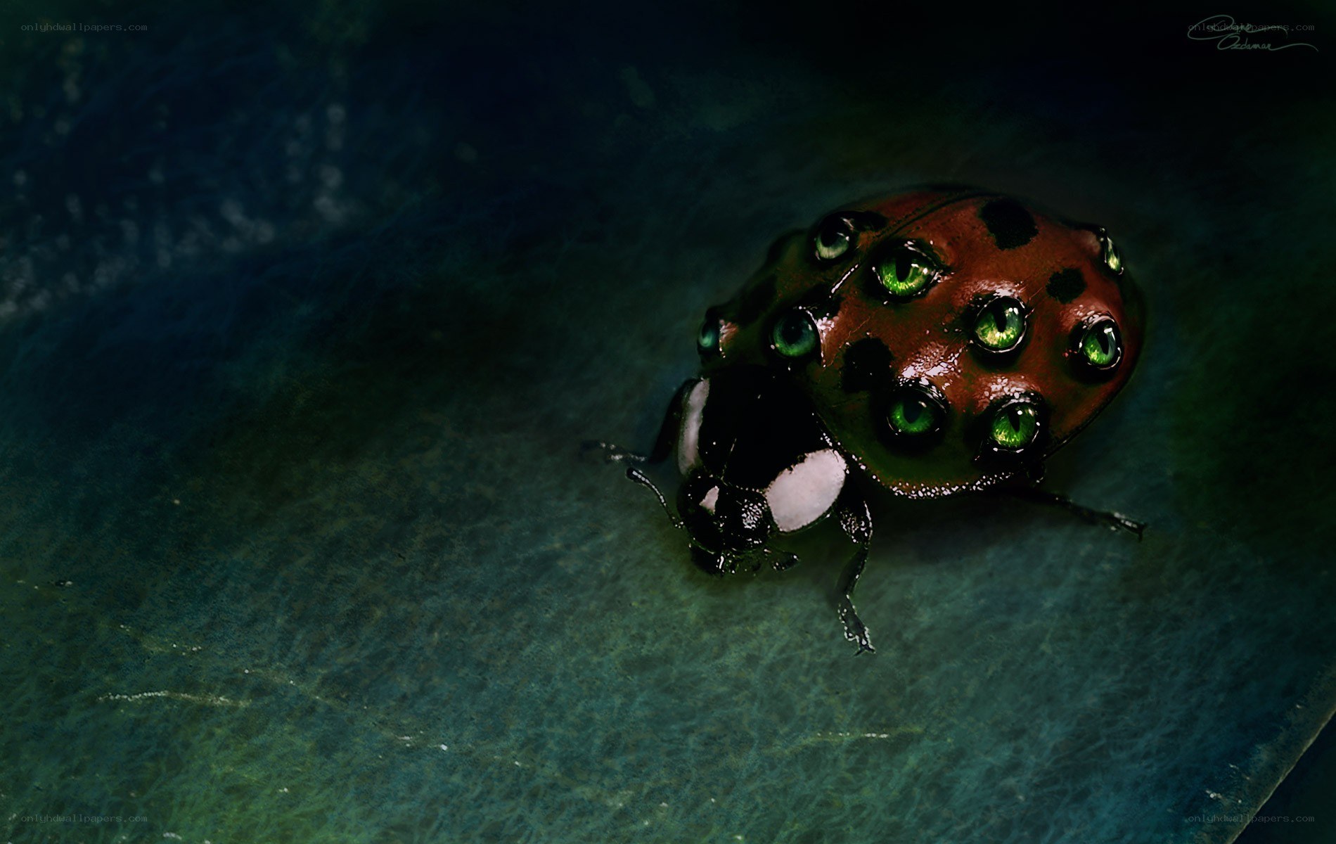 ladybug with glowing eyes