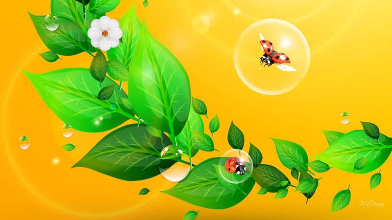Ladybugs in Bubbles