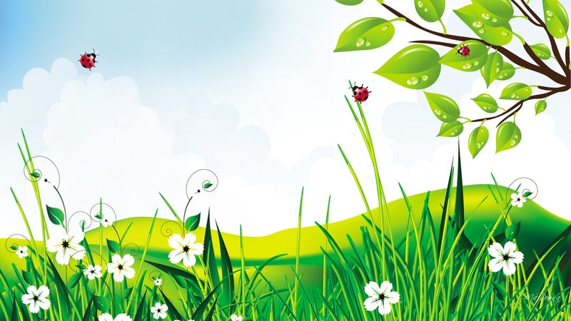 Ladybugs in Grass — Green