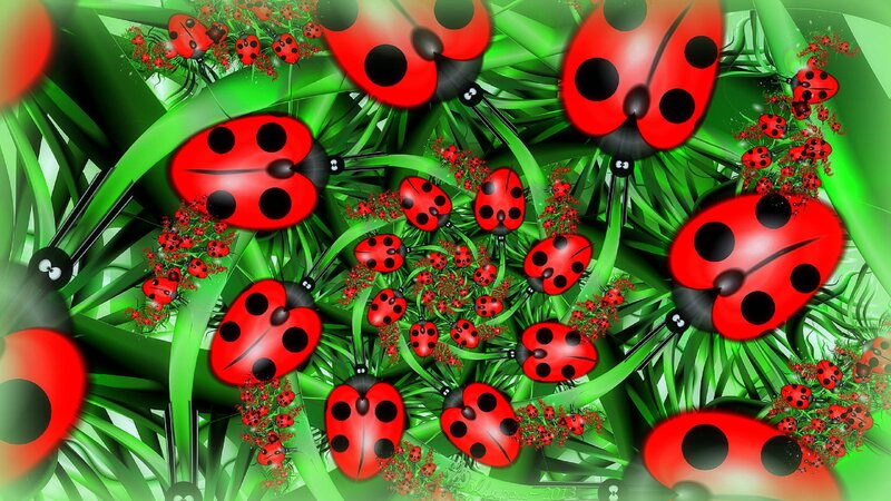 Ladybugs in Grass — Red, Vibrant