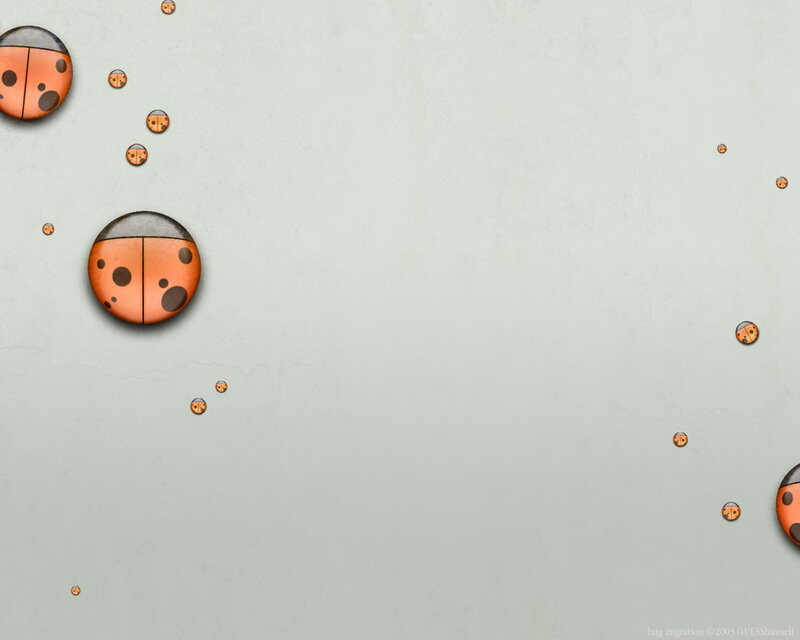 Ladybugs on a Surface
