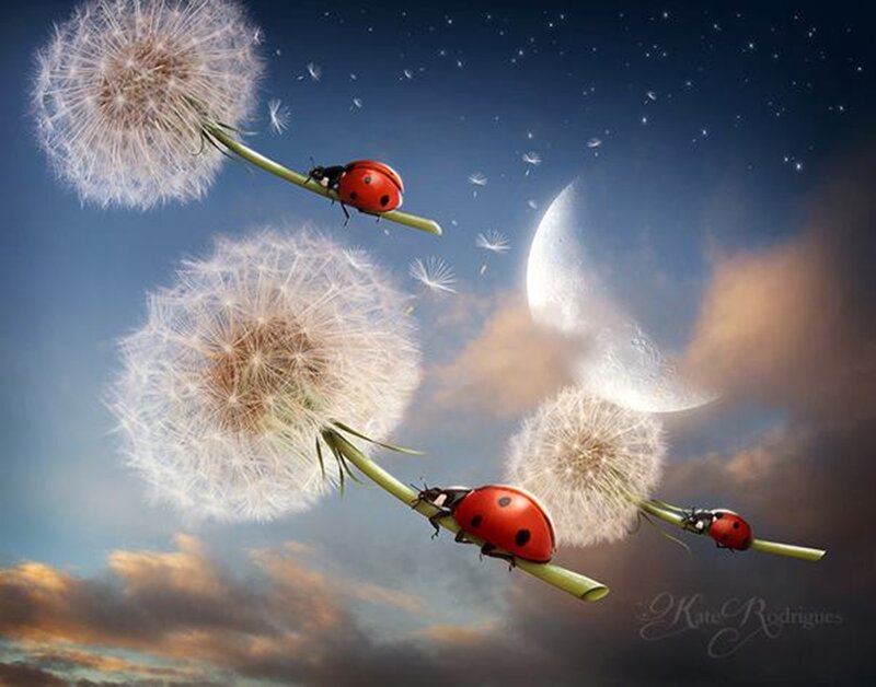 Ladybugs on Dandelions — Blue