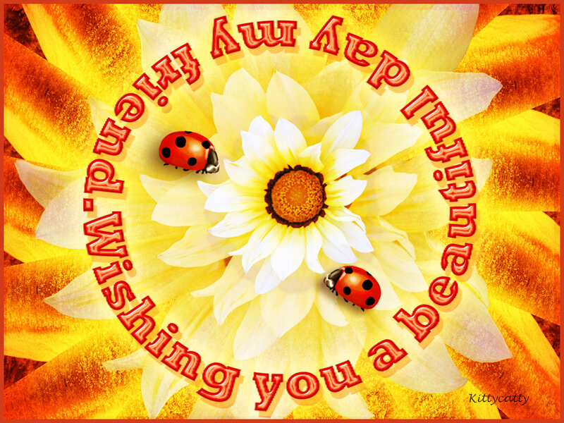 Ladybugs on Flower