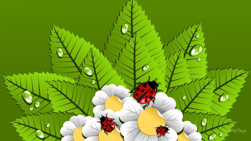 Ladybugs on Flowers — Green
