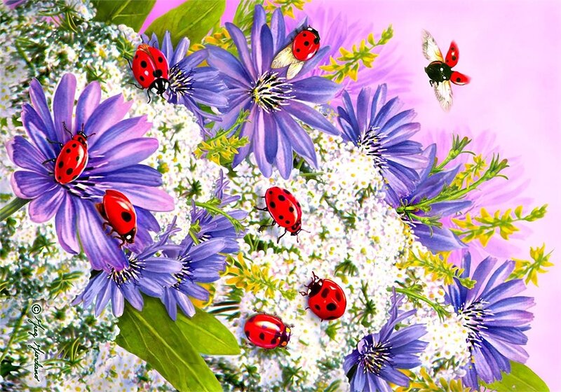 Ladybugs on Flowers — Purple