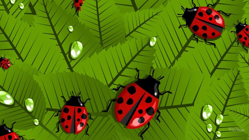 Ladybugs on Green Leaves — Calm