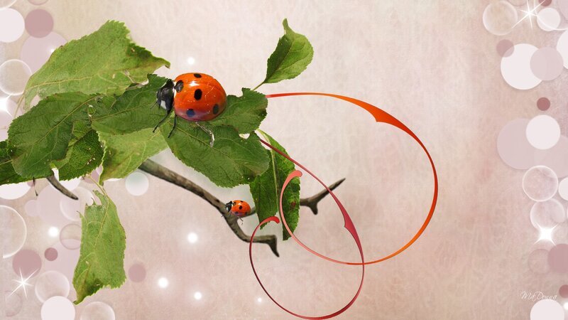 Ladybugs on Green Leaves — Serene, Digital Art