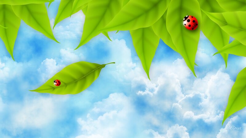 Ladybugs on Green Leaves — Serene