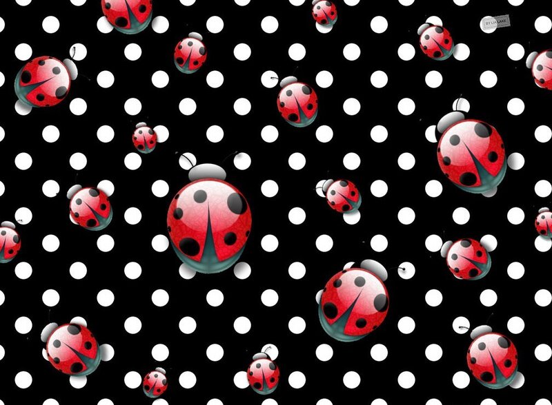 ladybugs on polka dots