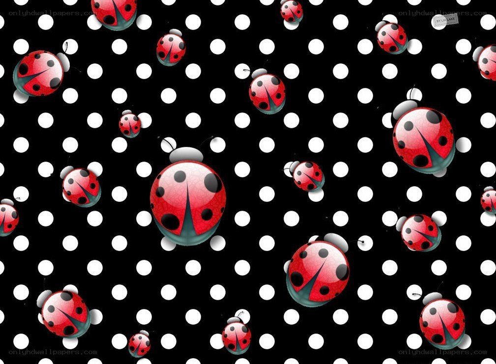 ladybugs on polka dots