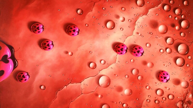 Ladybugs on Red Surface — Abstract