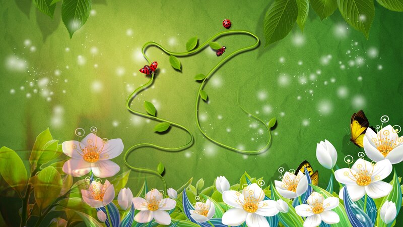 Ladybugs on Vine
