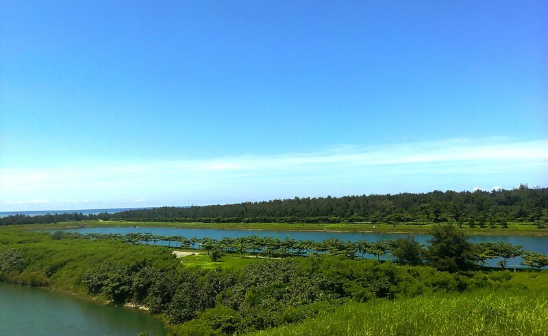 Lagoon with Green Trees