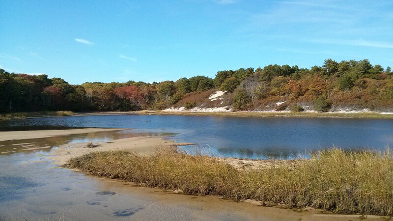 Lagoon with Marsh Grass