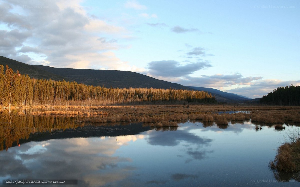 Lake and forest at sunset