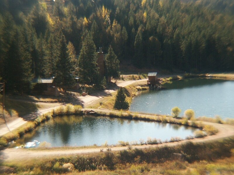 Lake and Forest Cabin