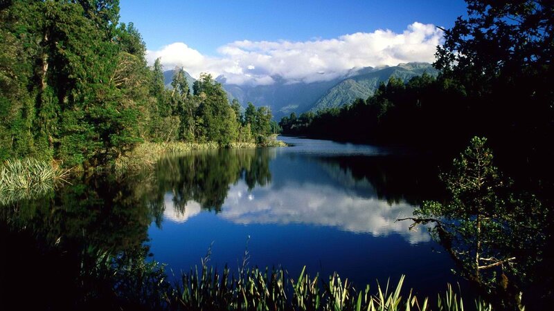 Lake and forest landscape