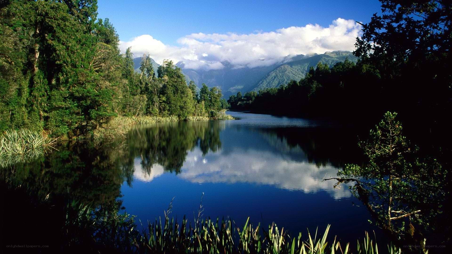 Lake and forest landscape