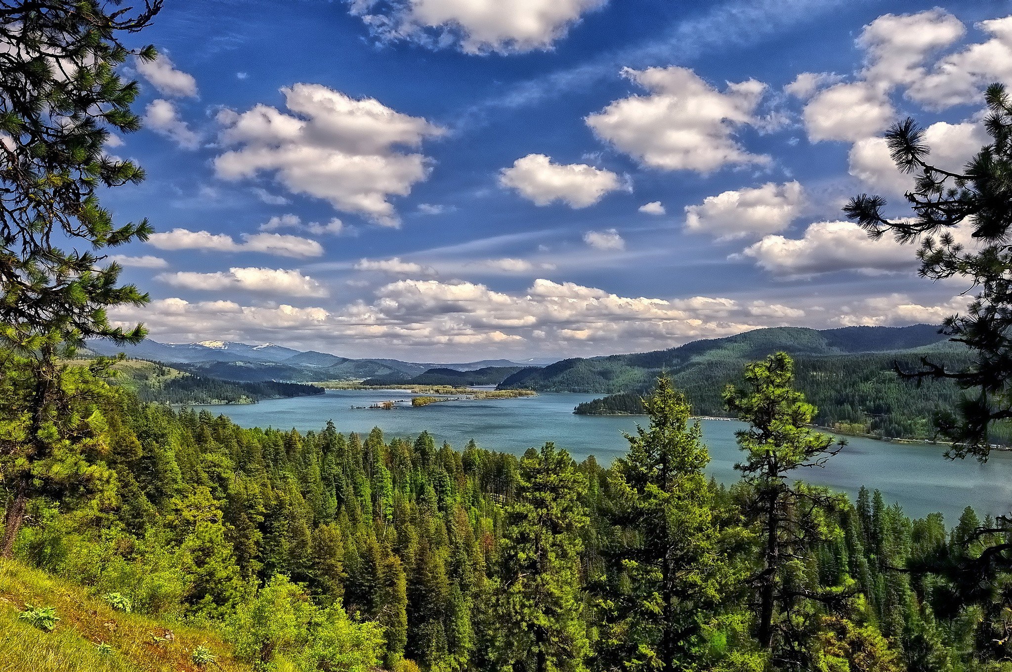 Lake and forest landscape