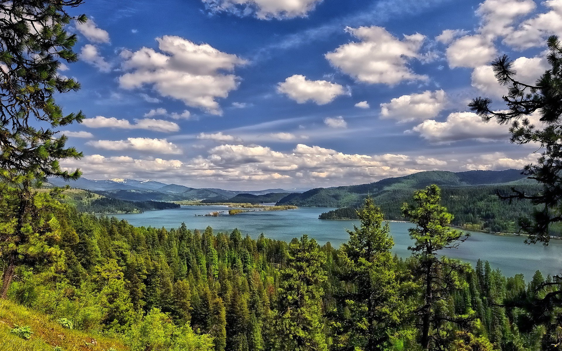 Lake and forest landscape