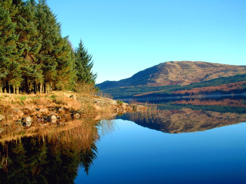 Lake and forest landscape