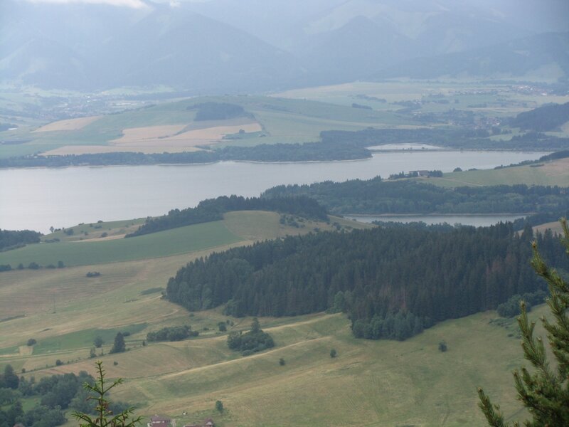 Lake and Forest Landscape — Green