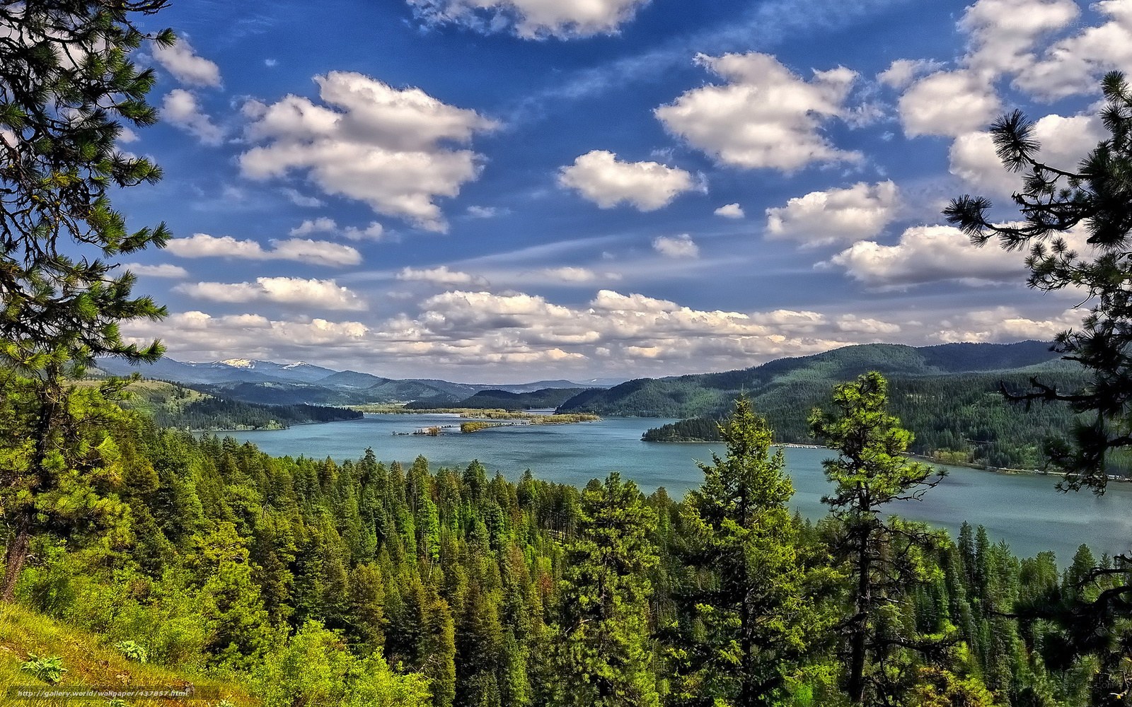 Lake and forest landscape