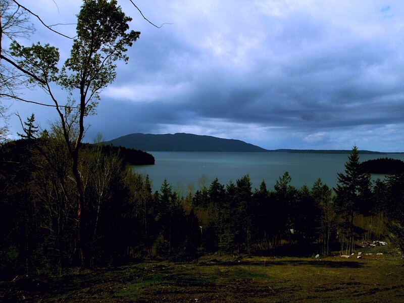 Lake and Forest View — Blue