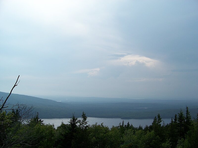 Lake and Forest View