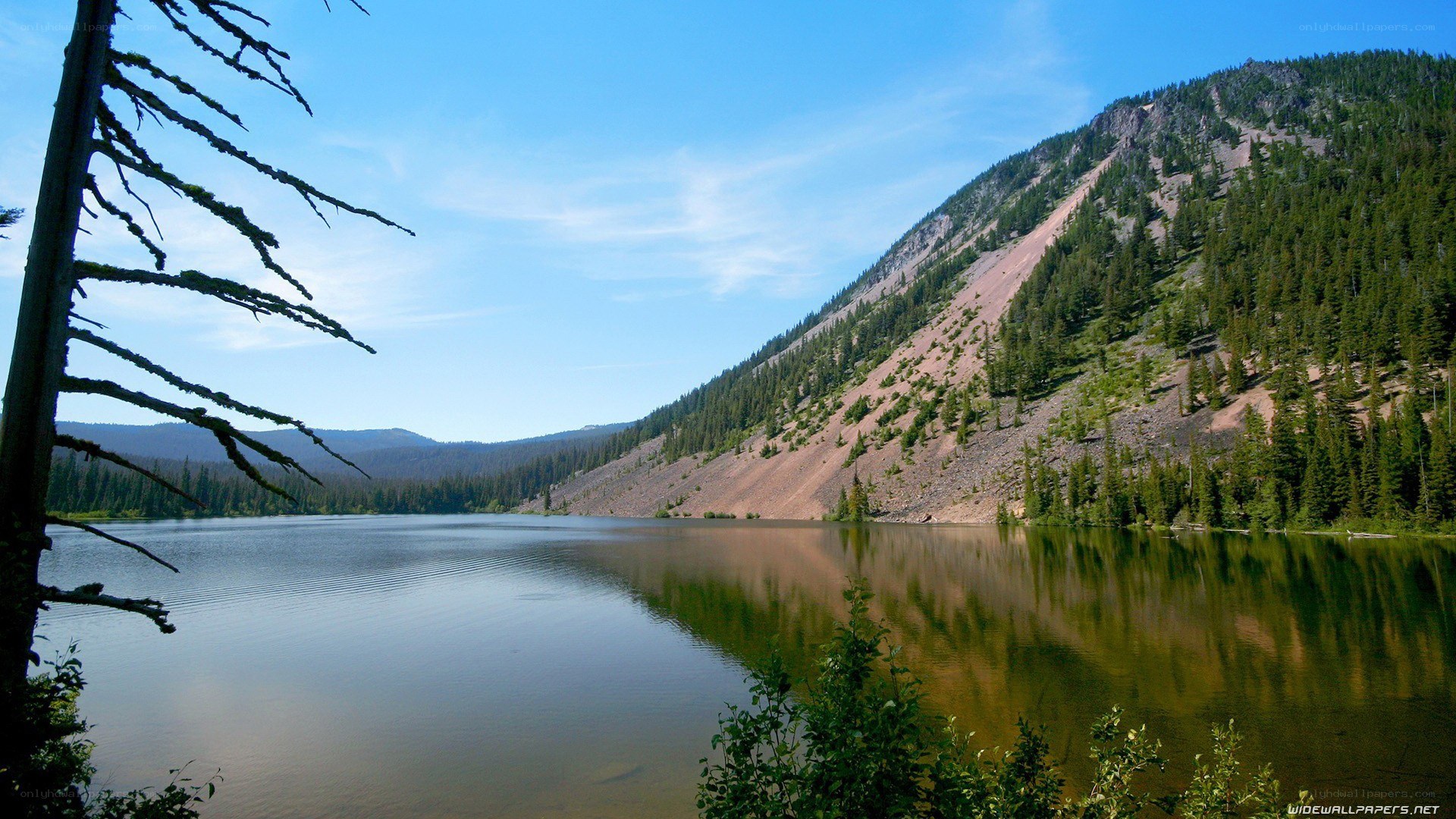 Lake and forested mountain