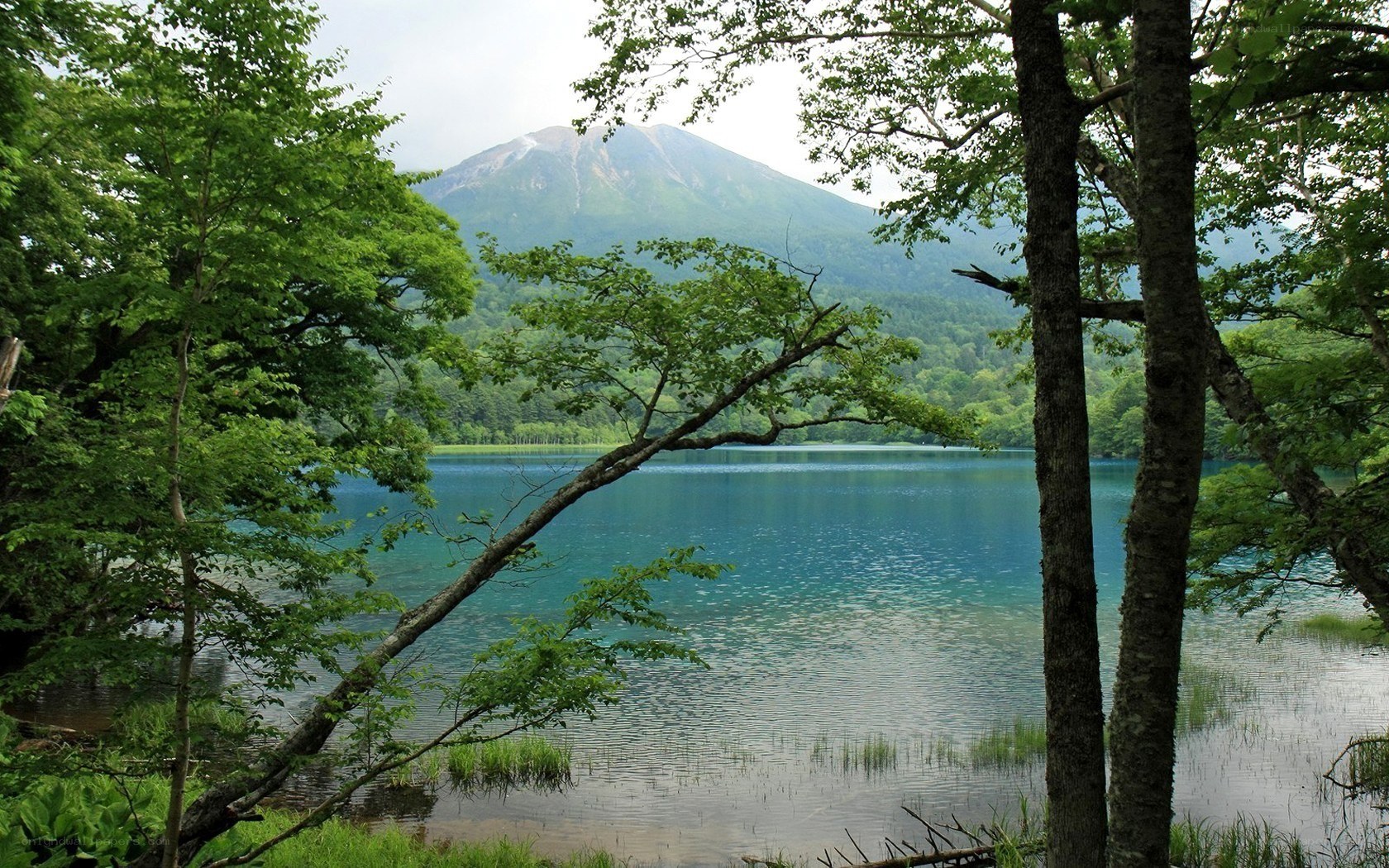 Lake and mountain landscape