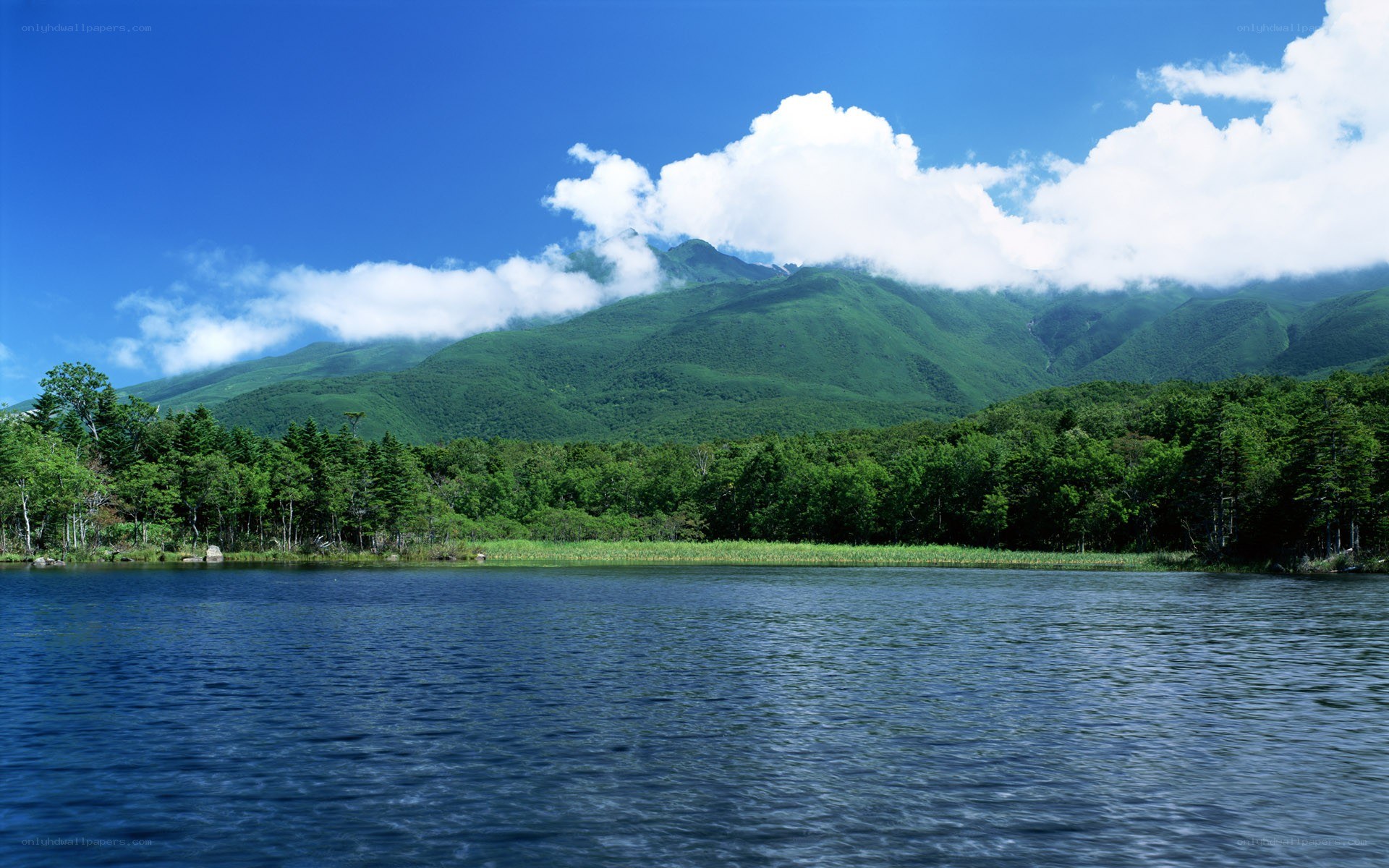 Lake and mountain landscape