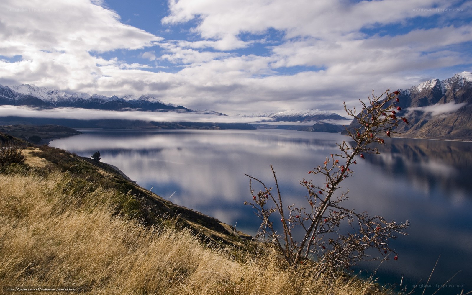 Lake and mountains landscape