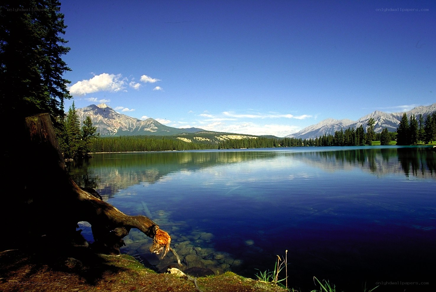 Lake and mountains landscape