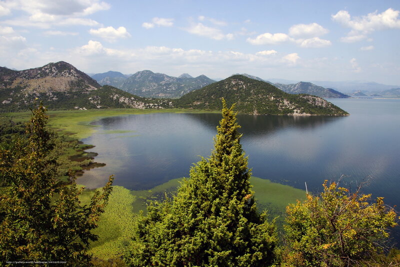 Lake and Mountains Landscape — Green, Serene, Afternoon, Photograph, Trees