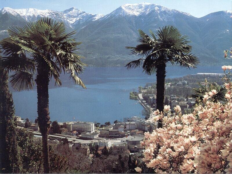 Lake and Mountains View — Blue