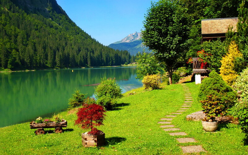 Lake and Mountainside