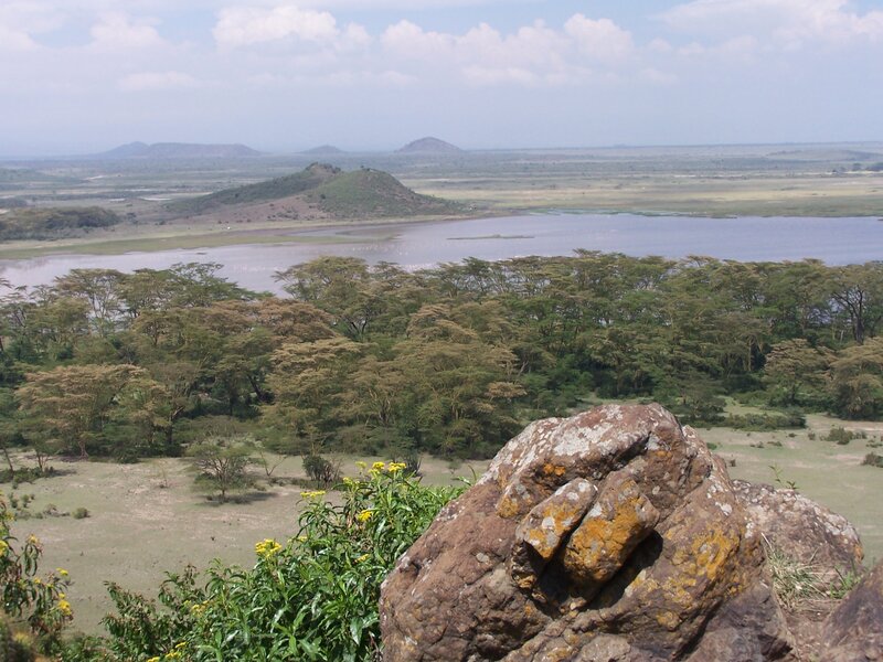 Lake and Savanna Landscape