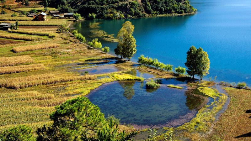 Lake and Terraced Fields — Blue, Serene