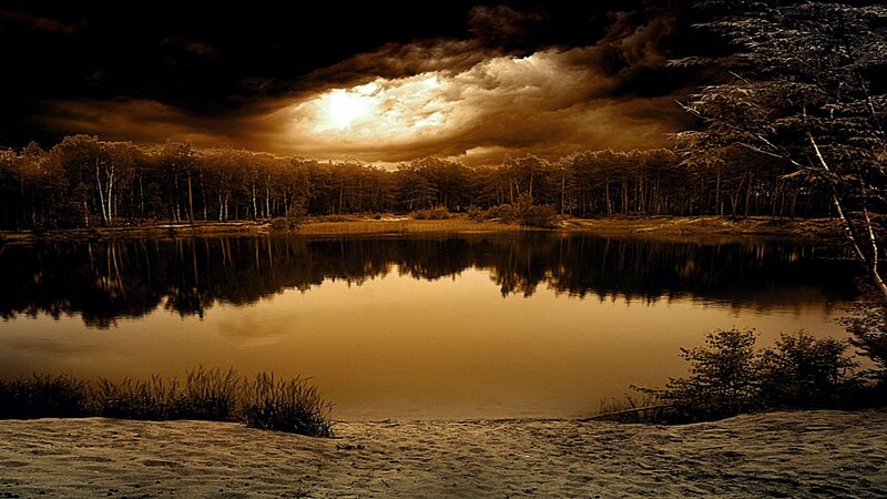 Lake at Dusk — Brown, Dramatic
