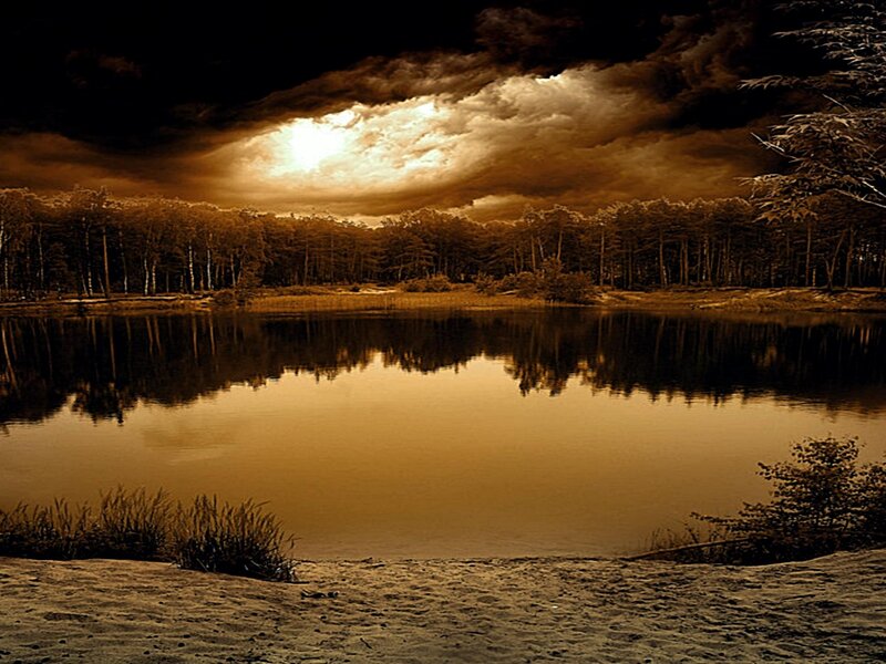 Lake at Dusk — Brown