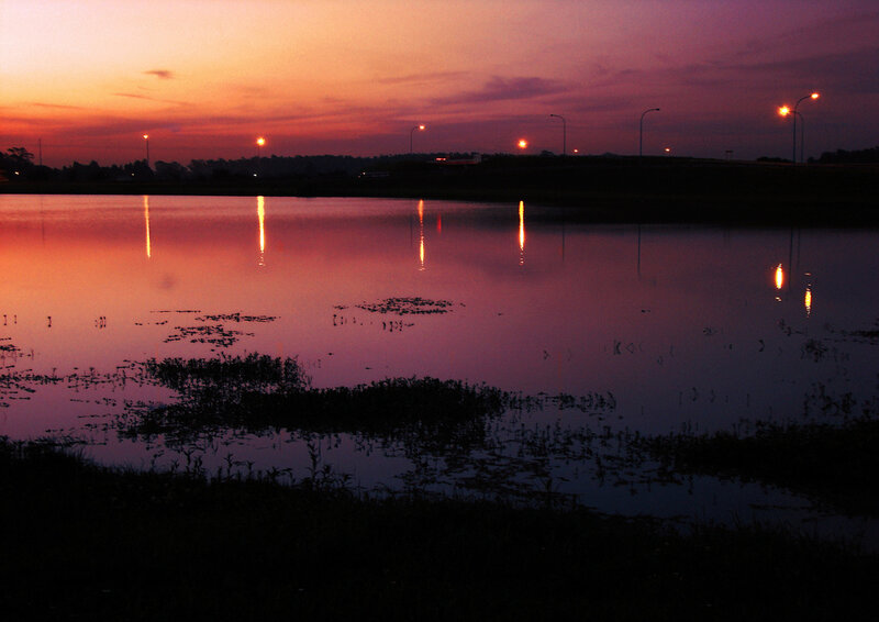 Lake at Dusk — Purple