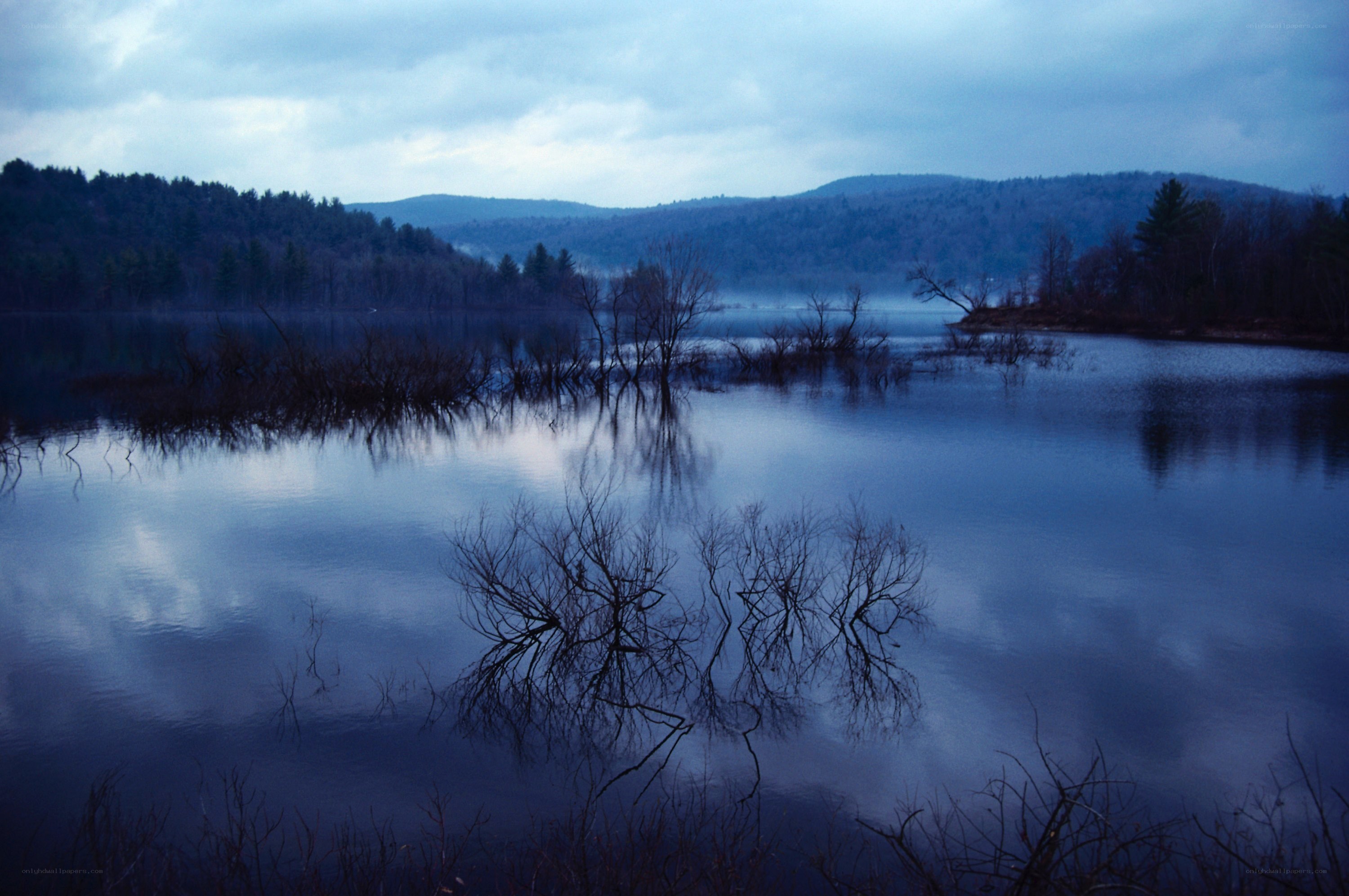 Lake at dusk with bare trees